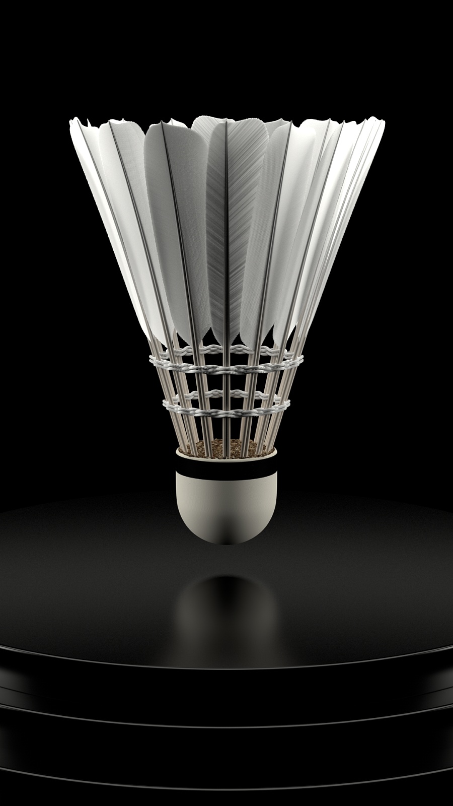 了宝贵的晋 了宝贵的晋