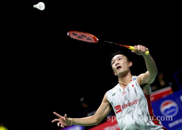 不仅体现了 不仅体现了