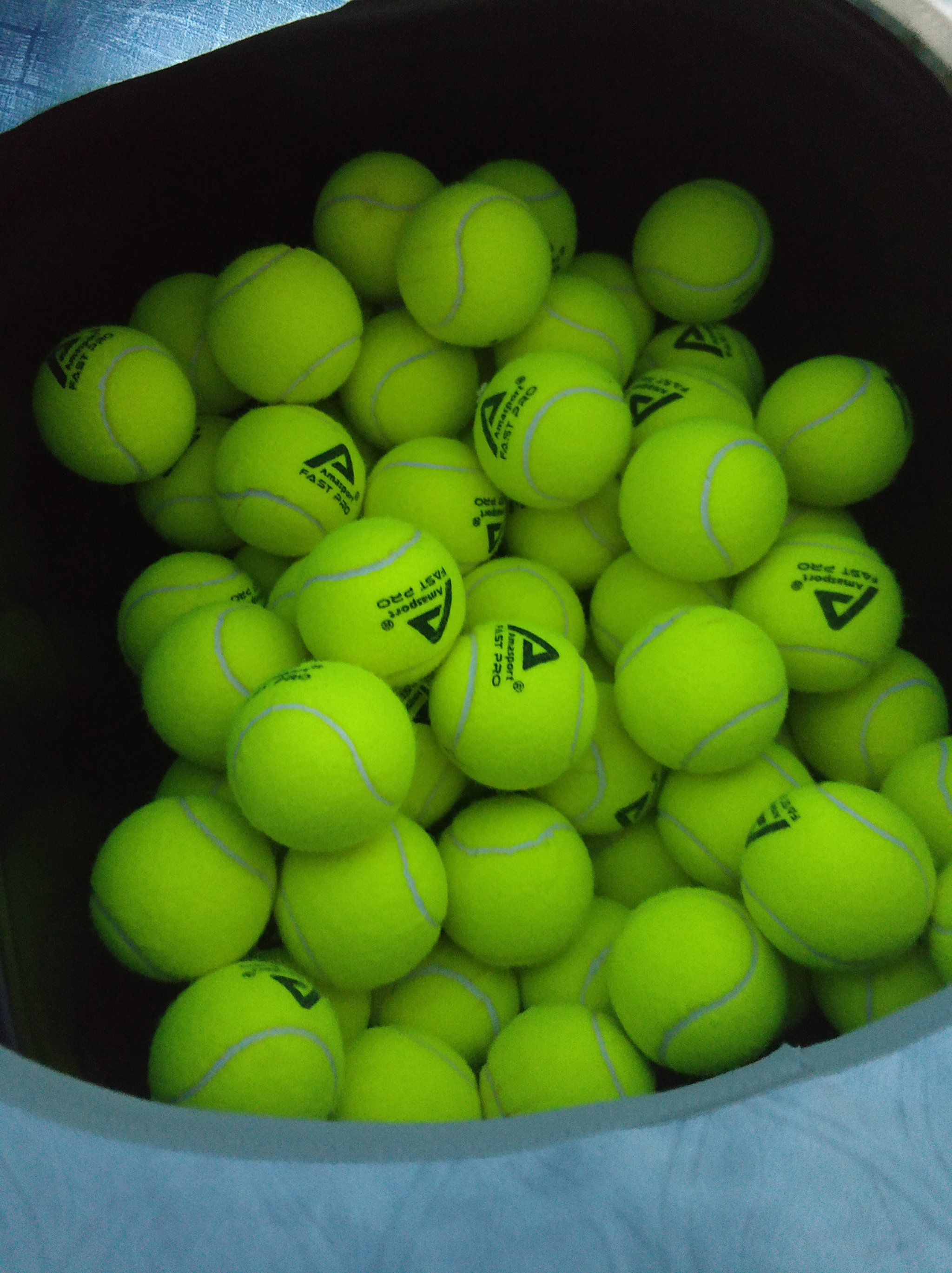 的魅力依然 的魅力依然