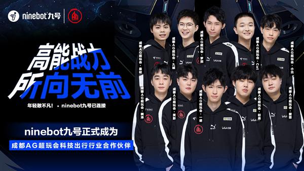 新星的实力 新星的实力